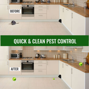 Ultrasonic Pest Repeller (Pack of 2)