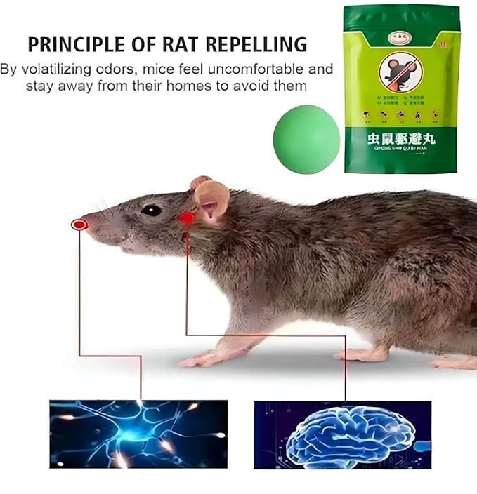 Ultrasonic Pest Repeller (Pack of 2)